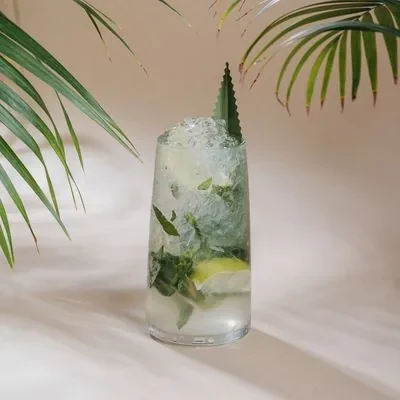 MOJITO