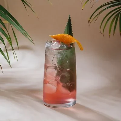 PALOMA