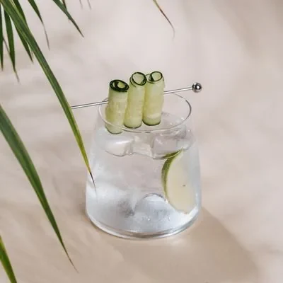 GIN TONIC